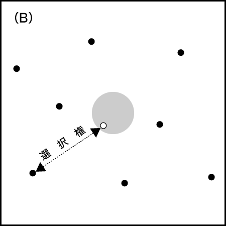 図2-B