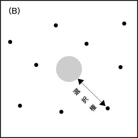 図3-B